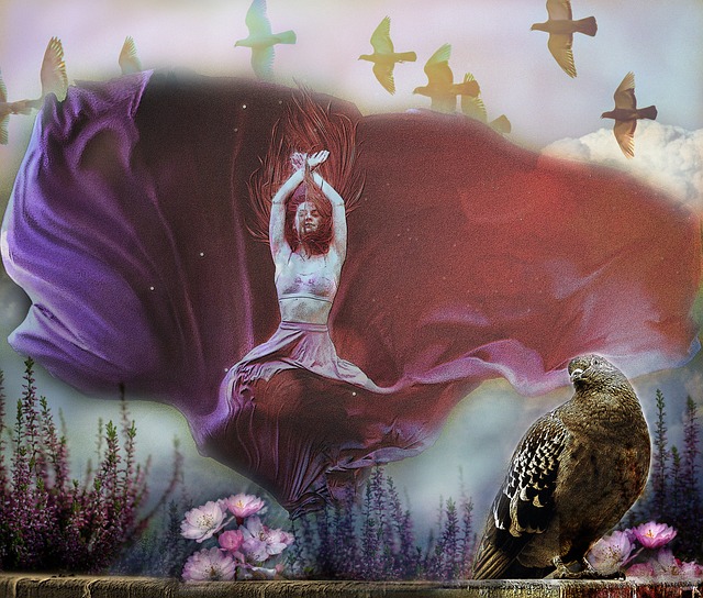 高压赛程 高压赛程