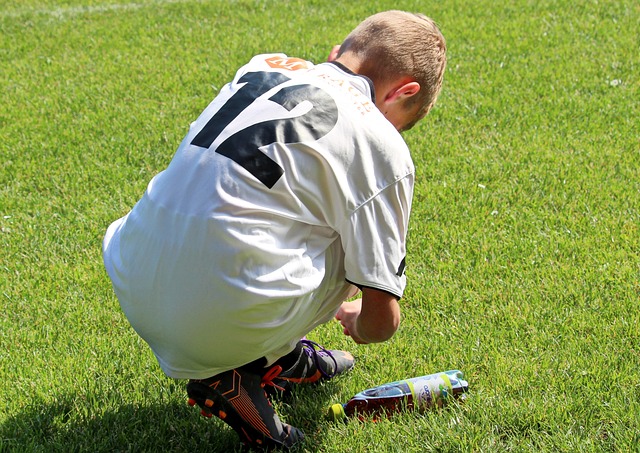 全新融入 全新融入