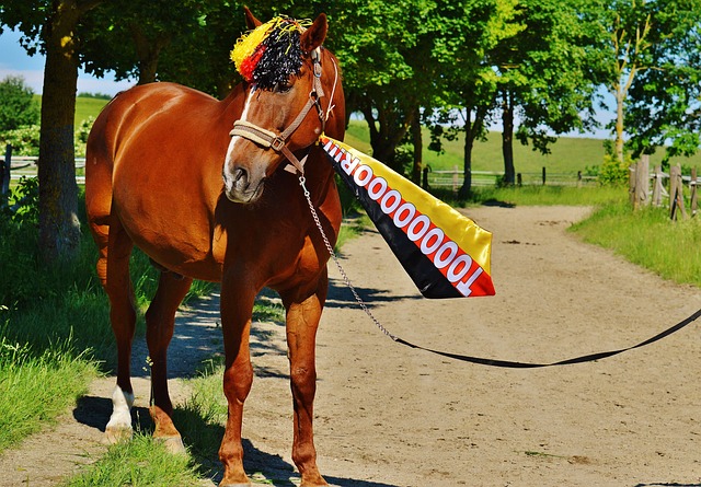 篮网缺乏化 篮网缺乏化